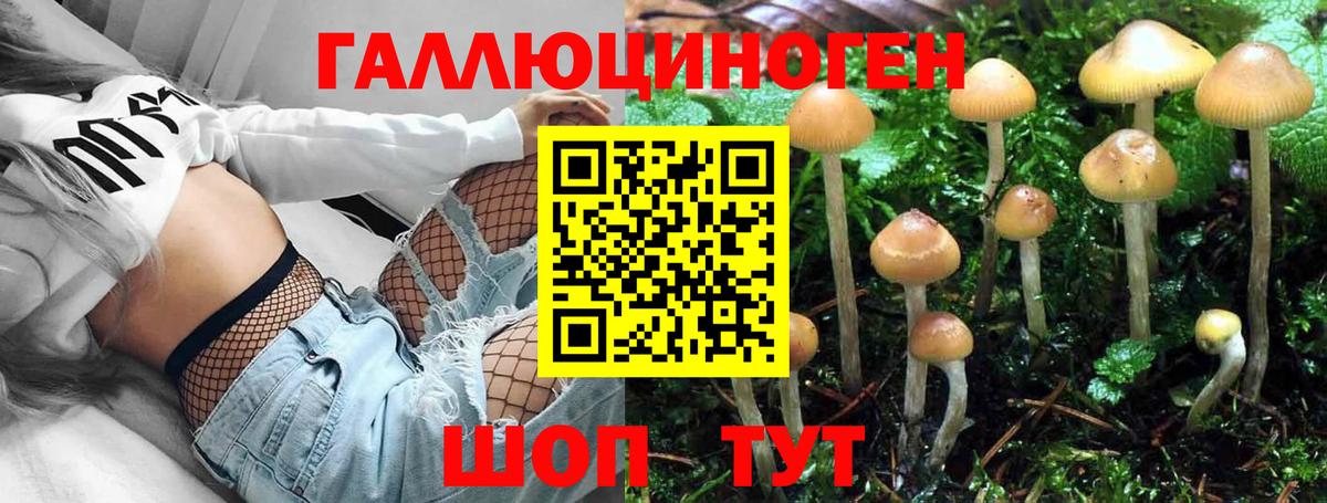Галлюциногенные грибы ЛСД Луга