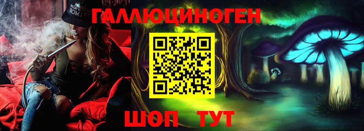 Псилоцибиновые грибы Magic Shrooms  Вход с VPN  Псилоцибиновые грибы Psilocybe  Луга 